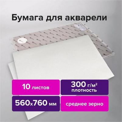 Бумага для акварели 300 г/м2 560x760 мм среднее зерно, 10 листов, PREMIERE, 113238 4986446358003 – фото 2
