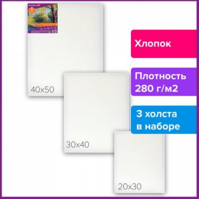 Холсты на подрамнике DEBUT, НАБОР 3шт, 280г/м, грунт, 100% хлопок, мелкое зерно, 191649 – фото 1
