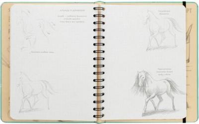 Скетчбук Рисуем животных 72 листа – фото 1