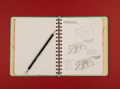 Скетчбук Рисуем животных 72 листа – фото 11