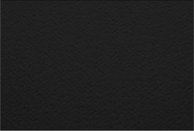 Бумага для пастели Tiziano №35 А2+ 500х650мм Черный – фото 7