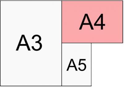 Альбом для рисования Три богатыря А4 40 листов – фото 8