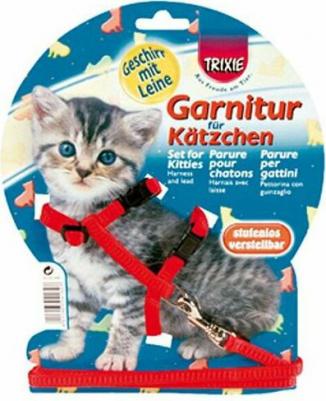 Шлейка для котят, нейлон 21/32 см, 8 мм – фото 1