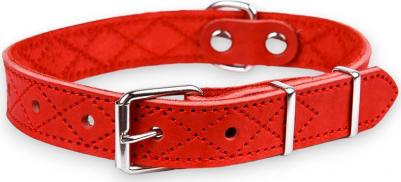 Ошейник для собак Новара, обхват шеи 32-44 см, ширина 2 см, красный