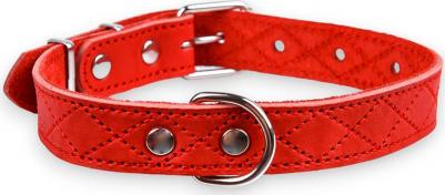 Ошейник для собак Новара, обхват шеи 37-51 см, ширина 2,5 см, красный – фото 1
