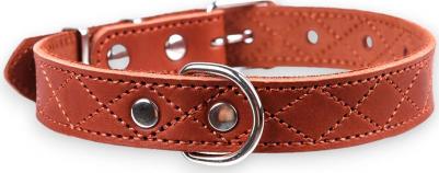 Ошейник для собак Новара, ширина 2,5 см, длина 58 см, коньячный – фото 1