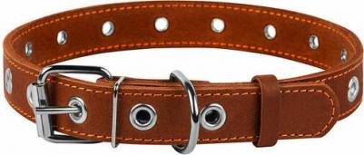 Ошейник для собак о20унк универсальный коньячный 20 мм 44 см – фото 2