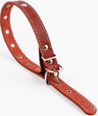 Ошейник для собак о20унк универсальный коньячный 20 мм 44 см – фото 9