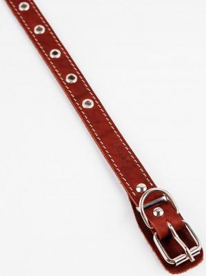 Ошейник для собак о20унк универсальный коньячный 20 мм 44 см – фото 15