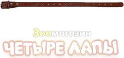 Ошейник для собак о20унк универсальный коньячный 20 мм 44 см – фото 17