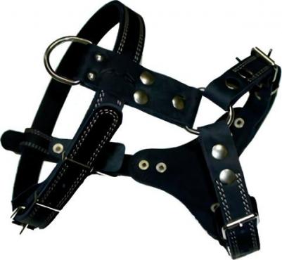 Шлейка для собак №0, водильная, кожаная, черная, 70-87 см x 25 мм – фото 1