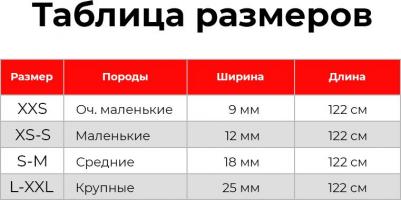 GLAMOUR Поводок красный (ширина 12 мм, длина 122 см) – фото 6
