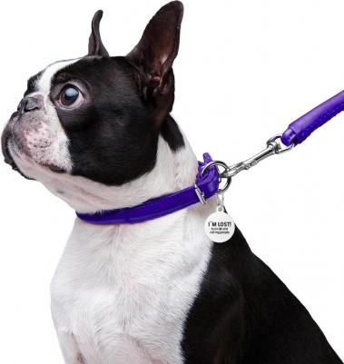 Ошейник GLAMOUR круглый для длинношерстных собак фиолетовый – фото 4