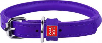 Ошейник GLAMOUR круглый для длинношерстных собак фиолетовый – фото 13
