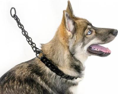 Ошейник для собак строгий, пластинчатый, вороненый, 60 см x 27 мм x 1,5 мм – фото 1