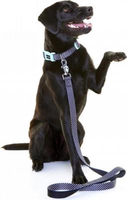 Ошейник Pongo черный в белую крапинку для собак XS 16-25 см – фото 1