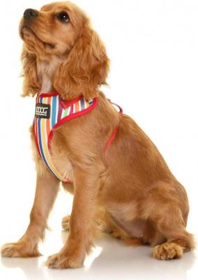 Шлейка для собак "NEOFLEX SCOOBY", красный, L, 50-70см (Австралия) – фото 1