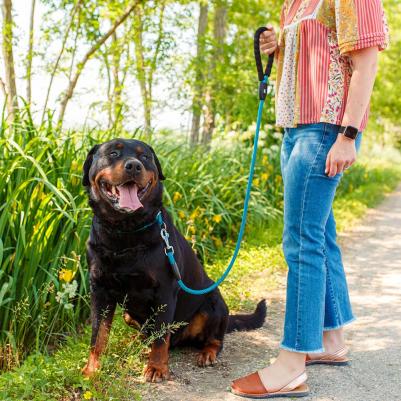 Ошейник для собак средних и крупных пород Sport Extreme CS 13/70, сине-черный – фото 5