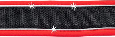 Ошейник с автоматическим замком GENIUS C 2,0/43 см, красный – фото 4