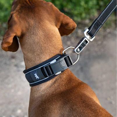 Ошейник с автоматическим замком GENIUS C 2,5/55 см, черный – фото 7