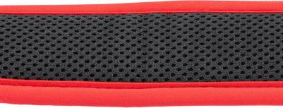 Ошейник с автоматическим замком GENIUS C 2,5/65 см, красный – фото 4