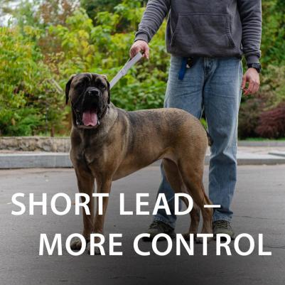 Поводок нейлоновый для собак Club, 45x2,5 см, серый – фото 2