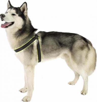 Шлейка AGILA ERGOFLUO 5 для собак, желтая – фото 12