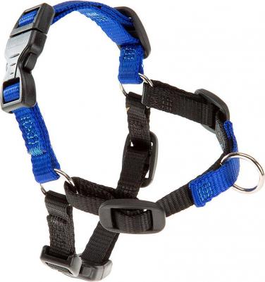 Шлейка COACH L для тренировок (синяя)