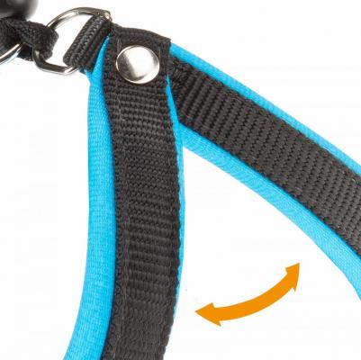 Шлейка для собак Agila Fluo (A=B 57/65см 25мм, Синий) – фото 10