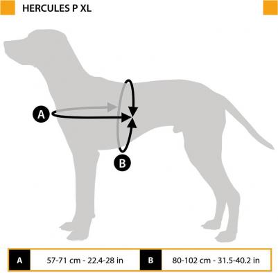 Шлейка для собак Hercules для собак XL Черный – фото 12