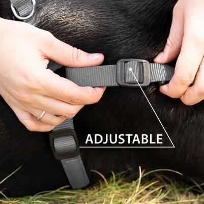 Шлейка для собак на мягкой подкладке Daytona Large, обхват шеи 65-70 см, обхват груди 66-73 см, темно-серый – фото 2