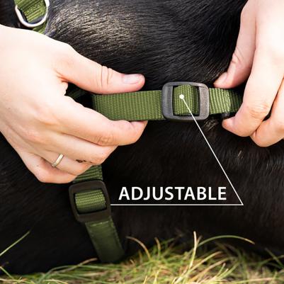 Шлейка для собак на мягкой подкладке Daytona Medium, обхват шеи 42-48 см, обхват груди 43-52 см, оливковый – фото 2