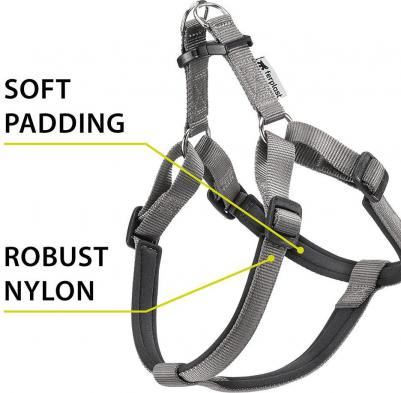 Шлейка для собак на мягкой подкладке Daytona Medium, обхват шеи 42-48 см, обхват груди 43-52 см, темно-серый – фото 5