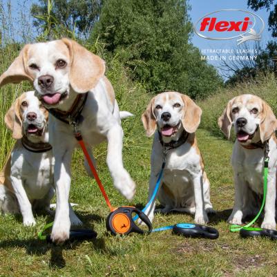 Поводок-рулетка New Neon M Tape 5m orange – фото 1