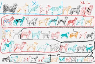 рулетка New Line Comfort M до 25 кг (5 м лента) (Черный) – фото 13