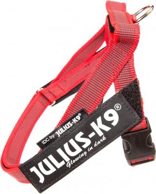 Шлейка для собак IDC®-Belt harness Color & Gray 0, синий, 57-74см / 14-25кг – фото 4