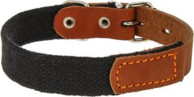 Ошейник брезентовый с кожей для собак (35 мм х 55-64 см)