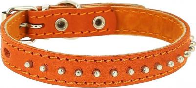 Ошейник для собак крупных пород кожаный двойной с шипами-ёж черный 44-53x3 см