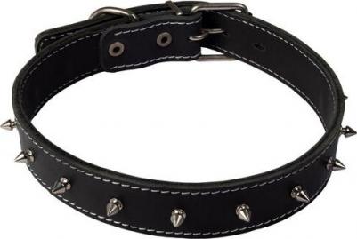 Ошейник для собак повседневный, обхват шеи 44-53 см 30мм, кожа, металл, черный