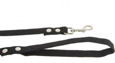 Поводок брезентовый, 25 мм х 10 м