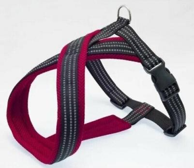Шлейка нейлоновая Х-образная с мягкой подкладкой красная для собак 20мм 40х44см