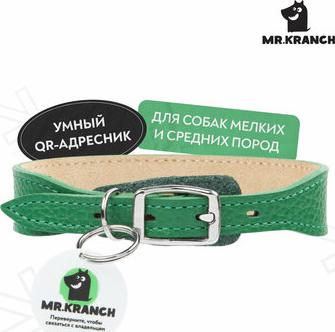 Ошейник для собак из натуральной кожи с QR-адресником, 20-24см, зеленый – фото 2
