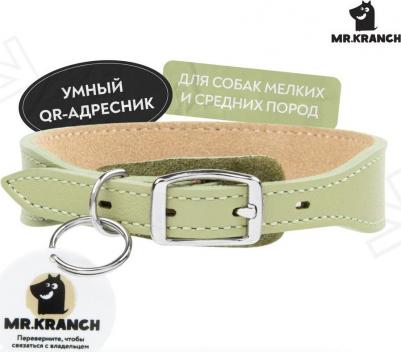 Ошейник для собак из натуральной кожи с QR-адресником, нежно-зеленый 22-26см – фото 1