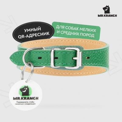 Ошейник-селедка для собак из натуральной кожи с QR-адресником, зеленый 29-35см – фото 1