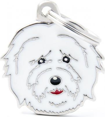 Адресник colors Болонка цветной средний