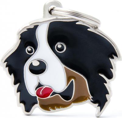 Адресник для собак Friends Бернский зенненхунд (2,5 х 2,5 см, ) – фото 1