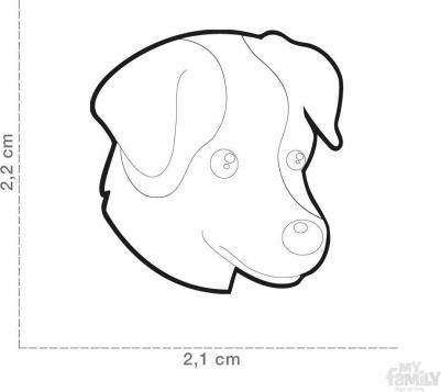 Colors Джек-рассел-терьер белый с коричневым разноцветный средний – фото 4