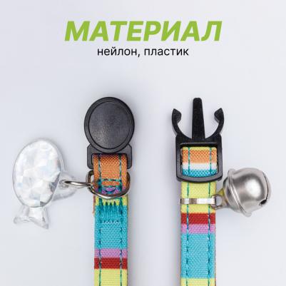 Ошейник нейлоновый со светоотражающим адресником для кошек и собак мелких пород, 1х30 см, радужный – фото 1
