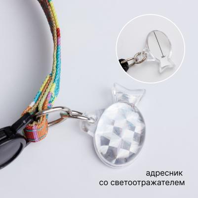 Ошейник нейлоновый со светоотражающим адресником для кошек и собак мелких пород, 1х30 см, радужный – фото 2