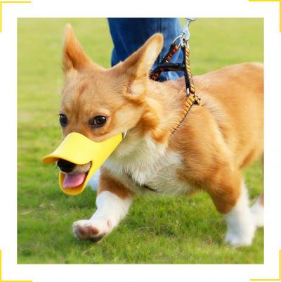 Намордник для собак ZDK Силиконовый, желтый, L – фото 4